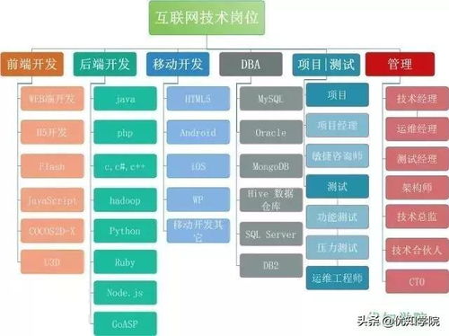 互聯(lián)網(wǎng)八大核心技術(shù)崗位全景解析 從代碼到數(shù)據(jù)的服務(wù)生態(tài)